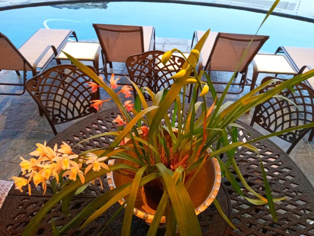 Whale Rock Guest House Plettenberg Bay Exterior photo